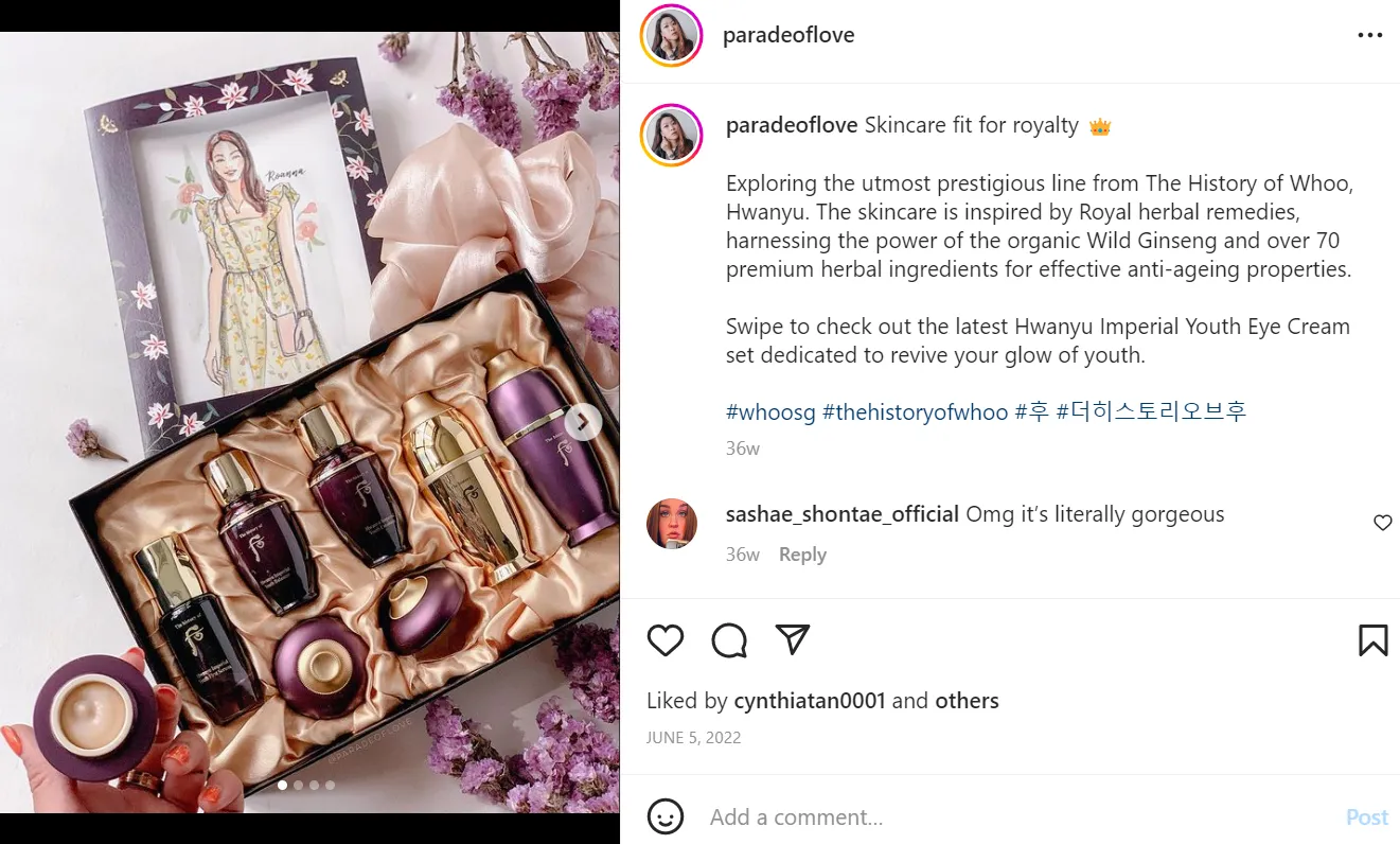 Screenshot: Roanna Tan