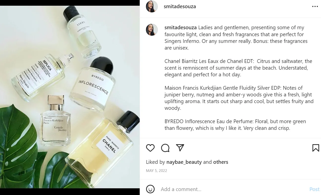 Screenshot: Smita DeSouza